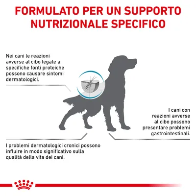FORMULATO PER UN SUPPORTO NUTRIZIONALE SPECIFICO. Nei cani le reazioni avverse al cibo legate a specifiche fonti proteiche possono causare sintomi dermatologici e gastrointestinali.