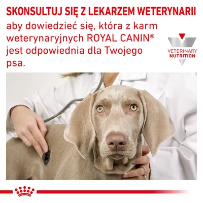 SKONSULTUJ SIĘ Z LEKARZEM WETERYNARII aby dowiedzieć się, która z karm weterynaryjnych ROYAL CANIN jest odpowiednia dla Twojego psa. VETERINARY NUTRITION.