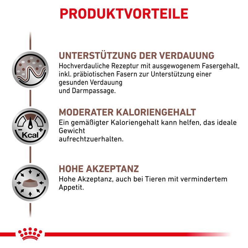 Текст на немецком: Produktvorteile. Unterstützung der Verdauung, Moderater Kaloriengehalt, Hohe Akzeptanz. Описание преимуществ продукта для пищеварения, калорийности и принятия.