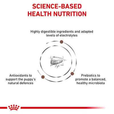Science-based health nutrition with highly digestible ingredients, adapted electrolytes, antioxidants for natural defences, and prebiotics for balanced microbiota.