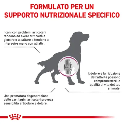 Testo: Formulato per un supporto nutrizionale specifico. I cani con problemi articolari tendono ad avere difficoltà a giocare o saltare e interagiscono meno. Dolore e ridotta attività compromettono la qualità di vita.