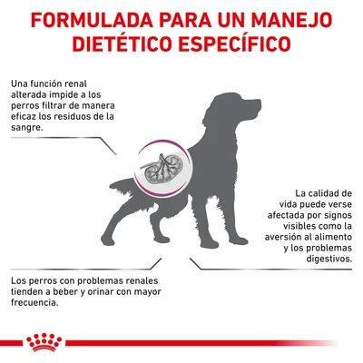 Formulada para un manejo dietético específico. Una función renal alterada impide filtrar residuos. Perros con problemas renales beben y orinan más. Calidad de vida afectada por aversión al alimento.