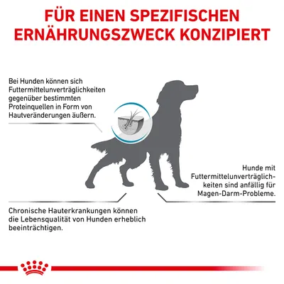 Grafik über Hunde mit Futterunverträglichkeiten. Symptome: Hautveränderungen, Magen-Darm-Probleme, chronische Hautkrankheiten beeinträchtigen Lebensqualität. Für spezifischen Ernährungszweck.