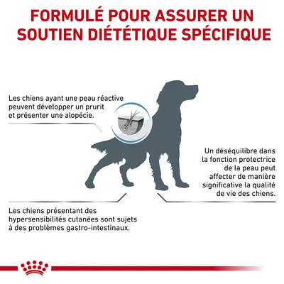 Formulé pour assurer un soutien diététique spécifique. Les chiens ayant une peau réactive peuvent développer un prurit et une alopécie. Hypersensibilités cutanées liées à des troubles gastro-intestinaux.