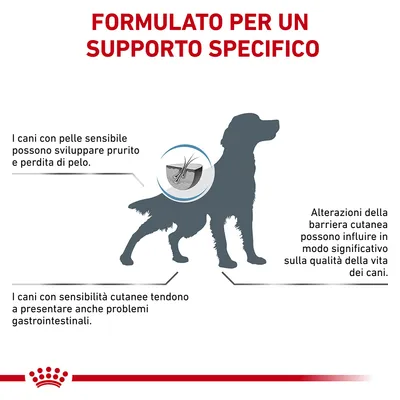 Testo: Formulato per un supporto specifico. I cani con pelle sensibile possono sviluppare prurito e perdita di pelo, alterazioni della barriera cutanea e problemi gastrointestinali.
