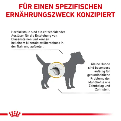 Grafik: Harnkristalle können Blasensteine verursachen. Kleine Hunde sind anfällig für Zahnprobleme wie Zahnbelag und Zahnstein. Für einen spezifischen Ernährungszweck konzipiert.