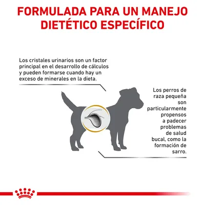 Formulada para un manejo dietético específico. Los cristales urinarios pueden formarse por exceso de minerales. Perros pequeños propensos a problemas bucales como sarro.
