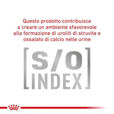 Questo prodotto contribuisce a creare un ambiente sfavorevole alla formazione di uroliti di struvite e ossalato di calcio nelle urine. [s/o] INDEX