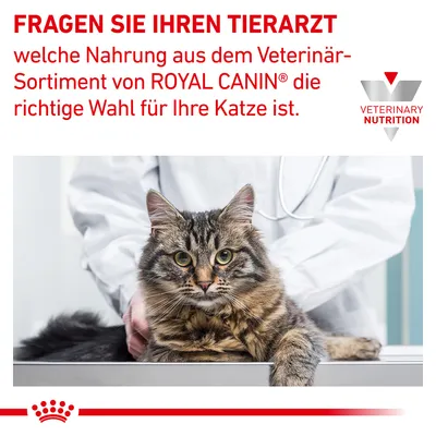 Fragen Sie Ihren Tierarzt, welche Nahrung aus dem Veterinär-Sortiment von Royal Canin die richtige Wahl für Ihre Katze ist. Veterinary Nutrition Logo sichtbar.