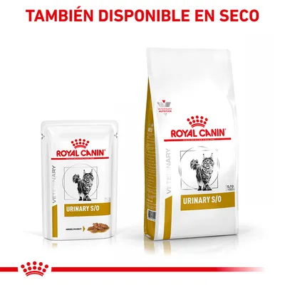 ROYAL CANIN URINARY S/O VETERINARY para gatos, sobres y saco. Texto visible: 'TAMBIÉN DISPONIBLE EN SECO'. Imagen de gato en ambos envases.