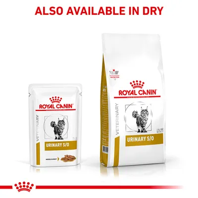 Royal Canin Urinary S/O shown in wet and dry forms. Text states 'Also available in dry'. Packaging displays product name and image of a cat.