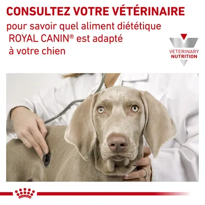 Texte : Consultez votre vétérinaire pour savoir quel aliment diététique ROYAL CANIN est adapté à votre chien. VETERINARY NUTRITION.