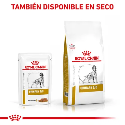 ROYAL CANIN URINARY S/O alimento húmedo y seco para perros, envases con imagen de perro. Texto visible: TAMBIÉN DISPONIBLE EN SECO.