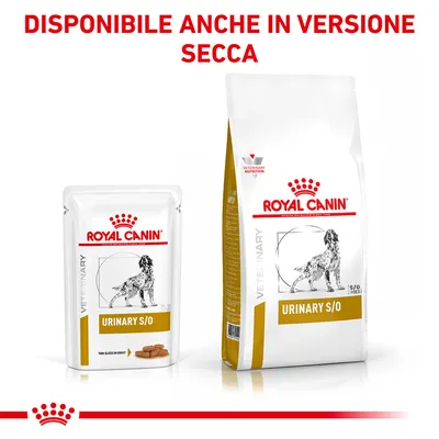 ROYAL CANIN URINARY S/O cibo per cani, confezione umida e secca, testo visibile: DISPONIBILE ANCHE IN VERSIONE SECCA