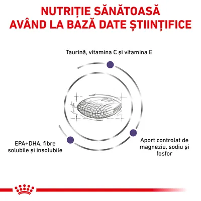 Nutriție sănătoasă având la bază date științifice. Taurină, vitamina C și E, EPA+DHA, fibre solubile și insolubile, aport controlat de magneziu, sodiu și fosfor.