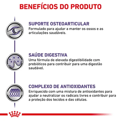 BENEFÍCIOS DO PRODUTO: SUPORTE OSTEOARTICULAR, SAÚDE DIGESTIVA, COMPLEXO DE ANTIOXIDANTES. Texto detalha apoio a ossos e articulações, digestão saudável e proteção celular.