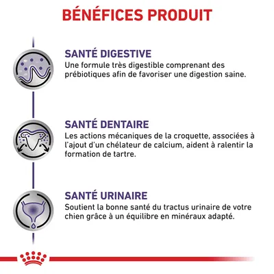 BÉNÉFICES PRODUIT : SANTÉ DIGESTIVE, formule très digestible avec prébiotiques ; SANTÉ DENTAIRE, actions mécaniques et chélateur de calcium ; SANTÉ URINAIRE, équilibre en minéraux adapté.