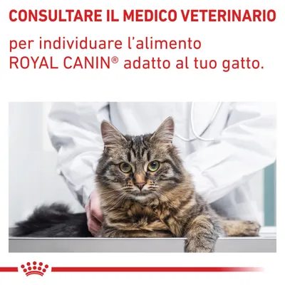 CONSULTARE IL MEDICO VETERINARIO per individuare l’alimento ROYAL CANIN adatto al tuo gatto.