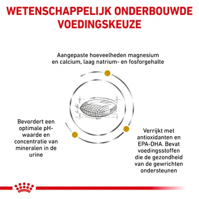 Wetenschappelijk onderbouwde voedingskeuze: aangepaste hoeveelheden magnesium en calcium, laag natrium- en fosforgehalte, bevordert optimale pH-waarde urine, verrijkt met antioxidanten en EPA-DHA.