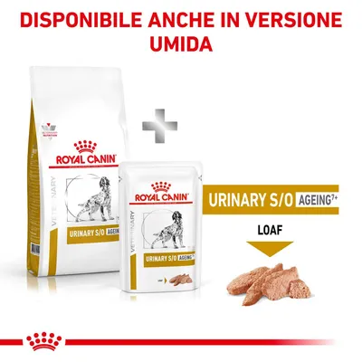 Royal Canin Urinary S/O Ageing 7+ secco e umido per cani, disponibile anche in versione umida. Testo visibile: URINARY S/O AGEING 7+, LOAF, DISPONIBILE ANCHE IN VERSIONE UMIDA.