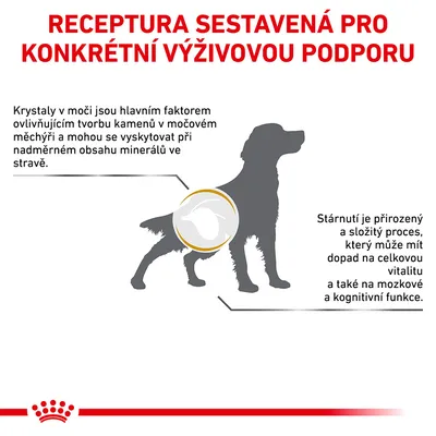 Receptura sestavená pro konkrétní výživovou podporu. Krystaly v moči ovlivňují tvorbu kamenů, stárnutí může ovlivnit vitalitu a kognitivní funkce psa.