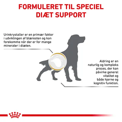 FORMULERET TIL SPECIEL DIÆT SUPPORT. Urinkrystaller er en primær faktor i udviklingen af blæresten. Aldring kan påvirke generel vitalitet og både hjerne og kognitiv funktion.