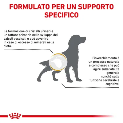 FORMULATO PER UN SUPPORTO SPECIFICO. La formazione di cristalli urinari è un fattore primario nello sviluppo dei calcoli vescicali. L'invecchiamento può agire su vitalità e funzione cerebrale.