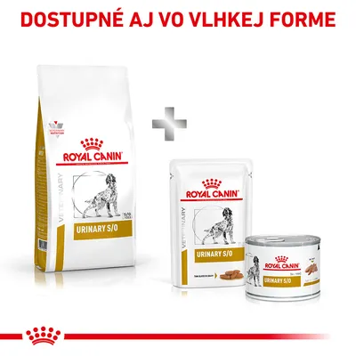 Royal Canin Urinary S/O pre psov, suché a vlhké krmivo. Text: Dostupné aj vo vlhkej forme. Na obaloch je pes a nápis VETERINARY.