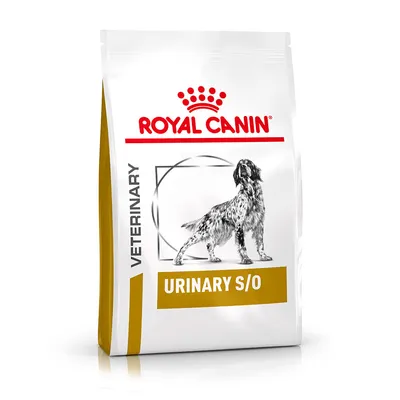 Royal Canin VETERINARY URINARY S/O koiranruokapakkaus, valkoinen pussi, jossa seisovan koiran kuva ja keltainen laatikko tekstillä URINARY S/O