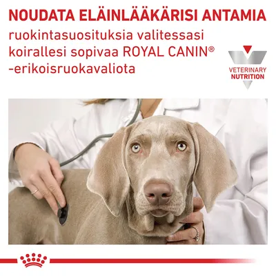 NOUDA ELÄINLÄÄKÄRISI ANTAMIA ruokintasuosituksia valitessasi koirallesi sopivaa ROYAL CANIN -erikoisruokavaliota. VETERINARY NUTRITION.