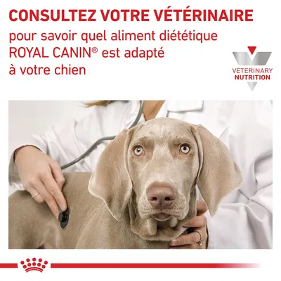Consultez votre vétérinaire pour savoir quel aliment diététique ROYAL CANIN est adapté à votre chien. VETERINARY NUTRITION.