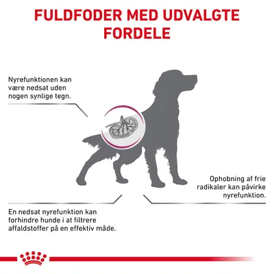 FULDFODER MED UDVALGTE FORDELE. Nyrefunktionen kan være nedsat uden synlige tegn. Ophobning af frie radikaler kan påvirke nyrefunktion. Nedsat nyrefunktion kan hindre filtrering.