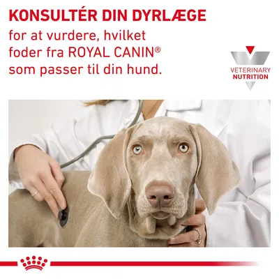 KONSULTÉR DIN DYRLÆGE for at vurdere, hvilket foder fra ROYAL CANIN som passer til din hund. VETERINARY NUTRITION. Tekst på billede med dyrlæge og hund.