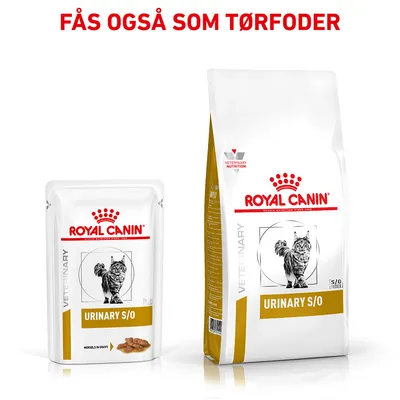Royal Canin Urinary S/O kattefoder, vådfoder og tørfoder vist. Tekst øverst: Fås også som tørfoder. Pakker med kattegrafik og mærket VETERINARY NUTRITION.