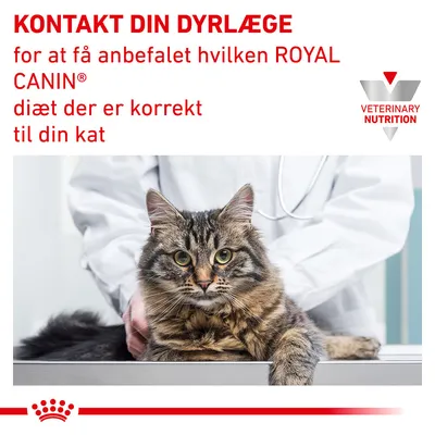 KONTAKT DIN DYRLÆGE for at få anbefalet hvilken ROYAL CANIN diæt der er korrekt til din kat. VETERINARY NUTRITION. Kat på undersøgelsesbord med person i hvid kittel bagved.