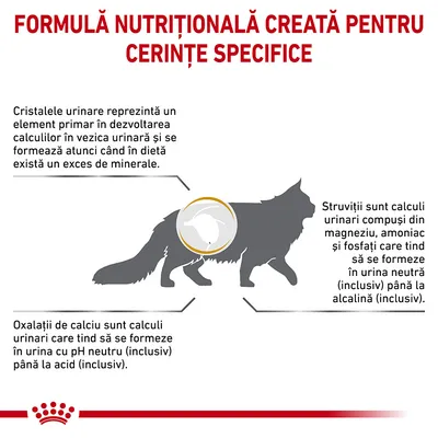 Formulă nutrițională creată pentru cerințe specifice. Explicații despre cristale urinare, struviți și oxalați de calciu la pisici, cu text informativ privind formarea acestora.