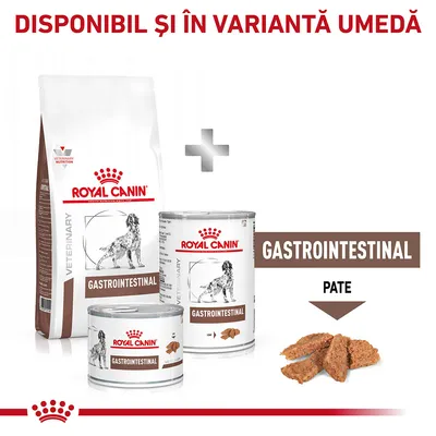 Royal Canin Gastrointestinal, hrană uscată și umedă pentru câini, conserve cu etichetă „GASTROINTESTINAL PATE”, imagine pate. Text: DISPONIBIL ȘI ÎN VARIANTĂ UMEDĂ.