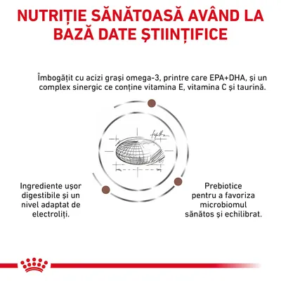 Nutriție sănătoasă având la bază date științifice. Îmbogățit cu omega-3 EPA+DHA, complex cu vitamina E, C și taurină. Ingrediente ușor digestibile, electroliți adaptați, prebiotice pentru microbiom.