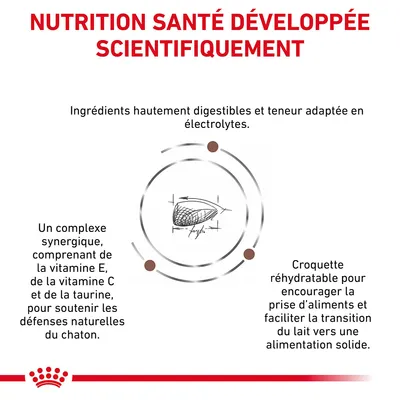 NUTRITION SANTÉ DÉVELOPPÉE SCIENTIFIQUEMENT. Ingrédients hautement digestibles, électrolytes adaptés, complexe vitamines E et C, taurine, croquette réhydratable pour transition alimentaire chaton.