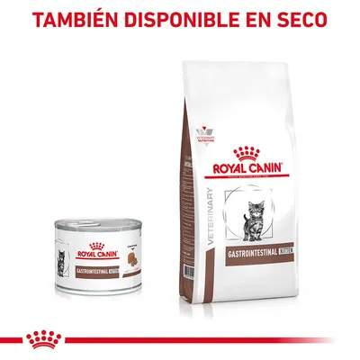 Royal Canin Gastrointestinal Kitten, lata y saco de pienso para gatitos. Texto visible: 'TAMBIÉN DISPONIBLE EN SECO'. Imagen de un gato en ambos envases.