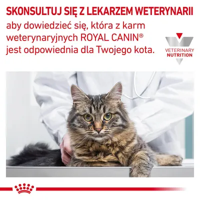 SKONSULTUJ SIĘ Z LEKARZEM WETERYNARII, aby dowiedzieć się, która z karm weterynaryjnych ROYAL CANIN jest odpowiednia dla Twojego kota. VETERINARY NUTRITION.