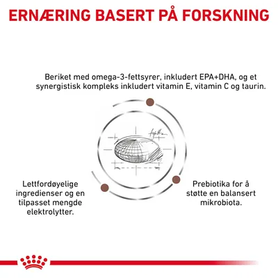Royal Canin Veterinary Canine Gastrointestinal Low Fat