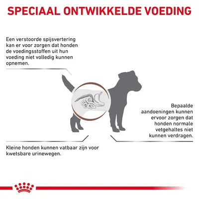 Speciaal ontwikkelde voeding. Een verstoorde spijsvertering kan opname van voedingsstoffen beperken. Bepaalde aandoeningen beïnvloeden vetopname. Kleine honden zijn vatbaar voor kwetsbare urinewegen.