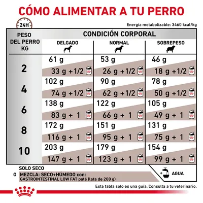 Tabla de raciones diarias para perros según peso (2–10 kg) y condición corporal: delgado, normal o sobrepeso. Incluye cantidades en gramos y mezcla con paté Gastrointestinal Low Fat. Tabla de raciones diarias para perros según peso (2–10 kg) y condición corporal: delgado, normal o sobrepeso. Incluye cantidades en gramos y mezcla con paté Gastrointestinal Low Fat.