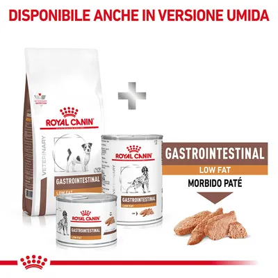 Royal Canin Gastrointestinal Low Fat per cani, disponibile sia secco che umido. Testo visibile: 'GASTROINTESTINAL LOW FAT MORBIDO PATÉ', 'DISPONIBILE ANCHE IN VERSIONE UMIDA'.