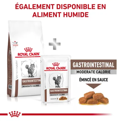 Royal Canin Veterinary Gastrointestinal Moderate Calorie pour chat, croquettes et sachet humide émincé en sauce. Texte : également disponible en aliment humide.