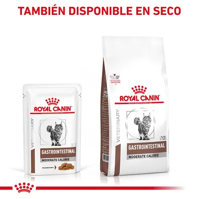 Royal Canin Gastrointestinal Moderate Calorie para gatos, disponible en formato húmedo y seco. Texto visible: TAMBIÉN DISPONIBLE EN SECO.