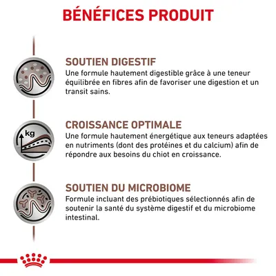 BÉNÉFICES PRODUIT : Soutien digestif, croissance optimale, soutien du microbiome. Détails sur la digestibilité, l'énergie pour chiot en croissance et les prébiotiques pour le système digestif.