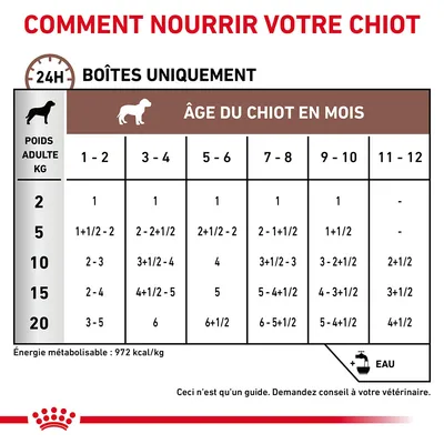 Tableau d’alimentation pour chiot : boîtes par jour selon poids adulte (2–20 kg) et âge (1–12 mois). Exemple : 10 kg, 5–6 mois = 4 boîtes. Énergie : 972 kcal/kg. Eau recommandée.