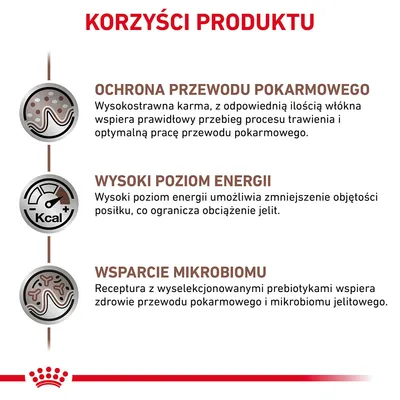 Korzyści produktu: ochrona przewodu pokarmowego, wysoki poziom energii, wsparcie mikrobiomu. Opisy dotyczą trawienia, energii i zdrowia jelit. Tekst w języku polskim.